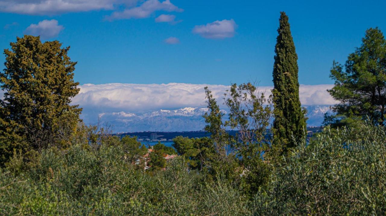 Vecchia Oliva,Kuljica Villa Kukljica Eksteriør bilde