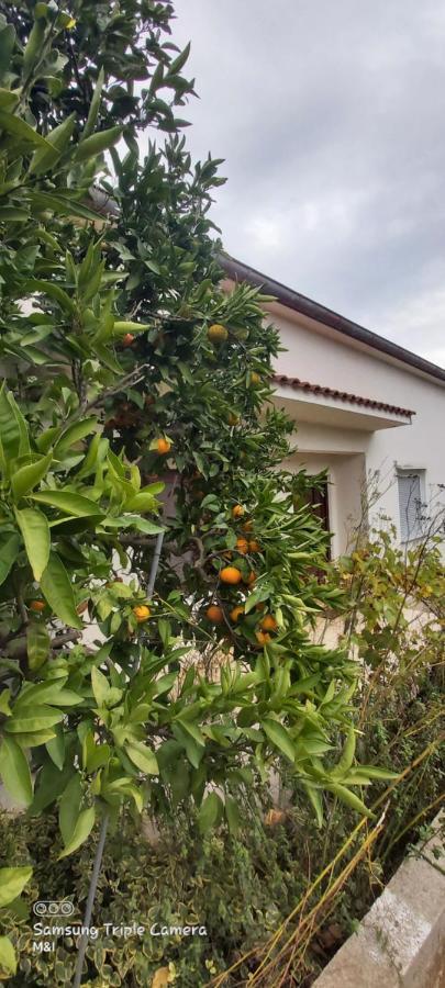 Vecchia Oliva,Kuljica Villa Kukljica Eksteriør bilde