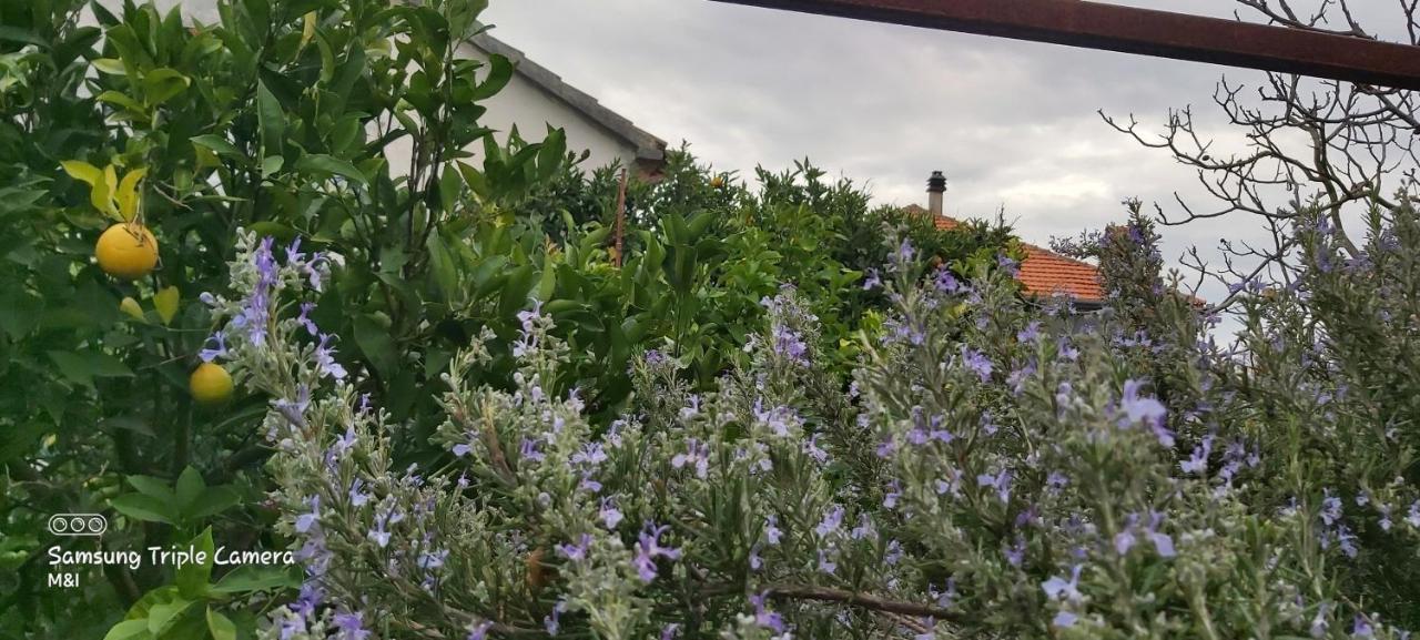 Vecchia Oliva,Kuljica Villa Kukljica Eksteriør bilde